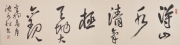 沈水松 